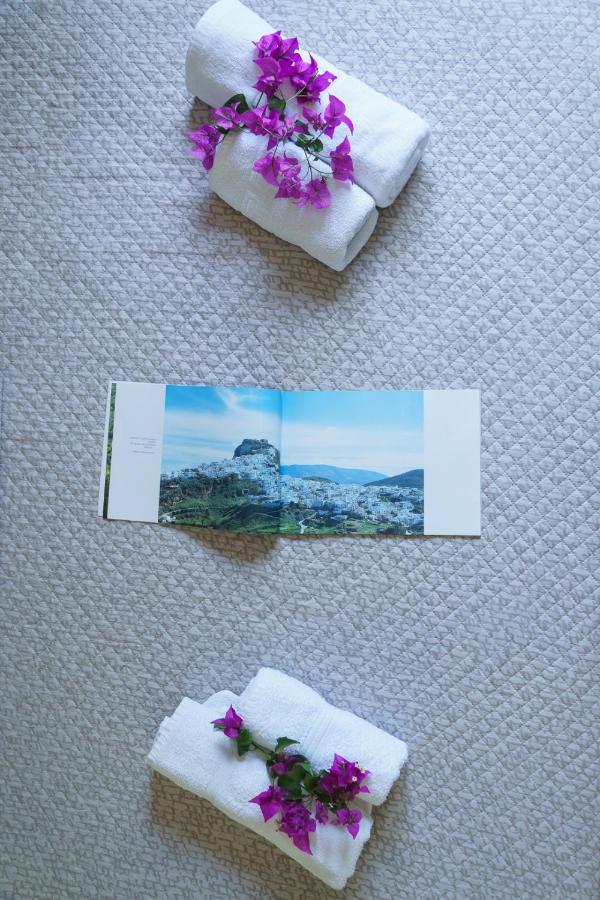 Irini Studios İskiri Dış mekan fotoğraf