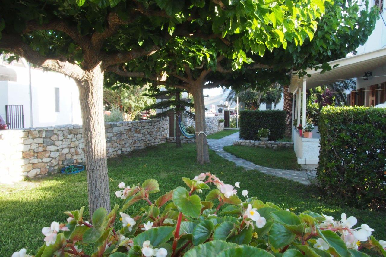 Irini Studios İskiri Dış mekan fotoğraf