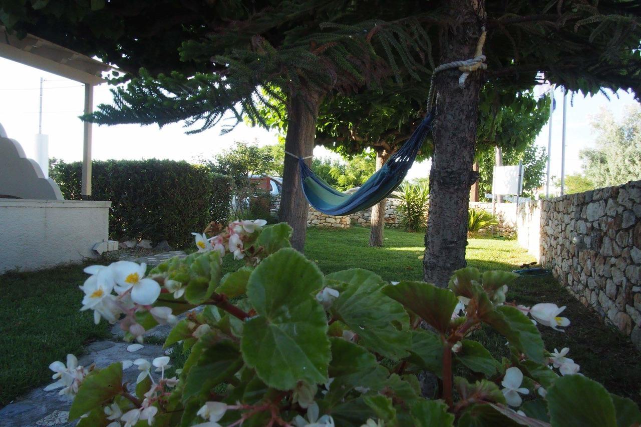 Irini Studios İskiri Dış mekan fotoğraf